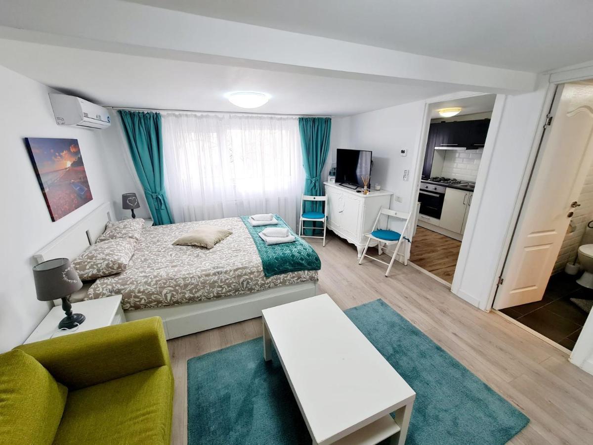 Апартаменты Modern Studio Park Carol Unirii - Lam1 Бухарест Экстерьер фото